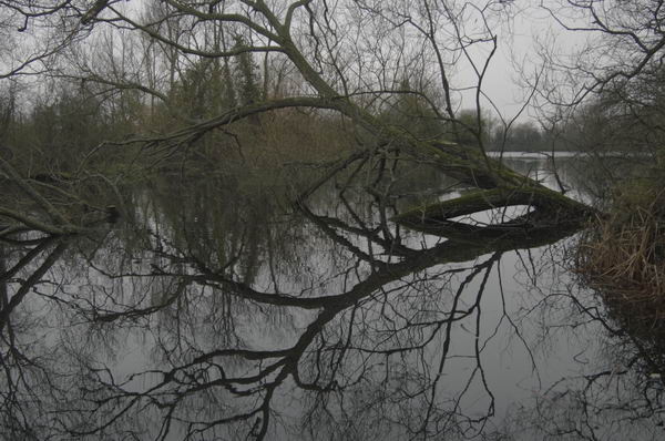 Picture © Peter Marshall, 2004