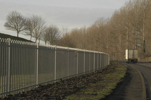 Picture © Peter Marshall, 2004