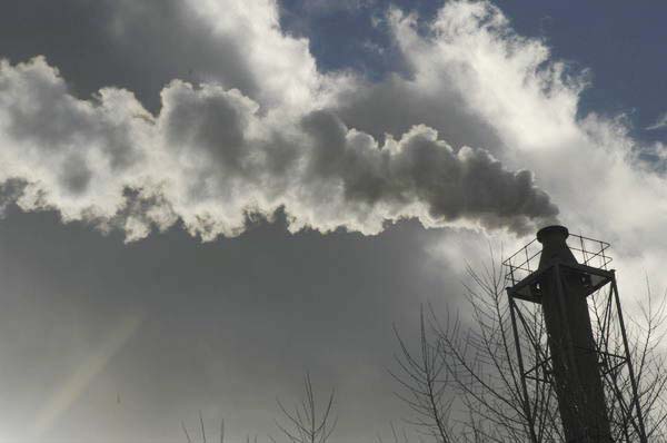 Picture © Peter Marshall, 2004