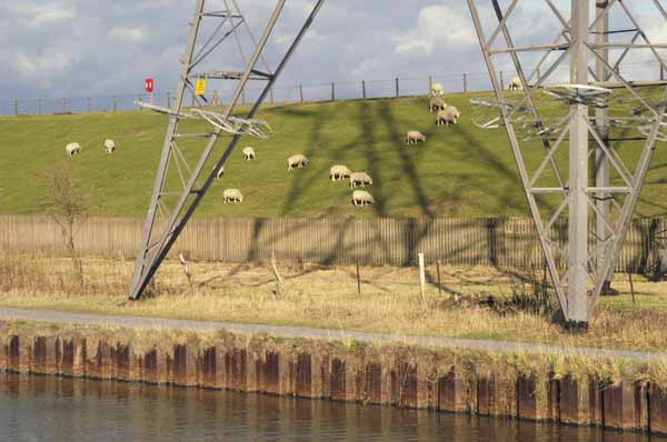 Picture © Peter Marshall, 2004