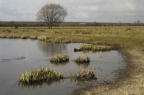 Picture © Peter Marshall, 2004