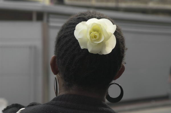 Picture © Peter Marshall, 2004