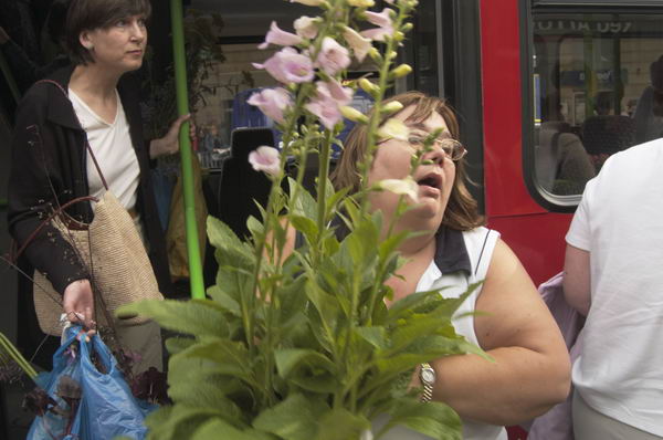 Picture  Peter Marshall, 2004