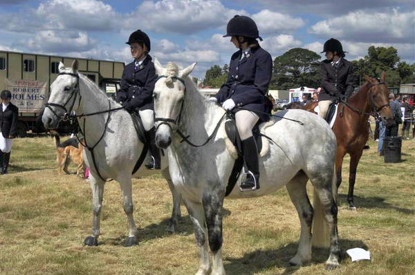 Picture  Peter Marshall, 2004