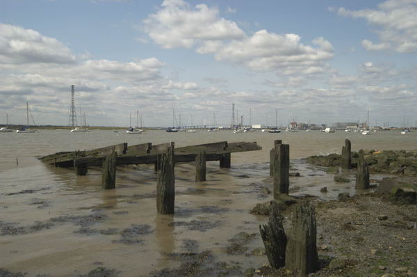 Picture © Peter Marshall, 2004