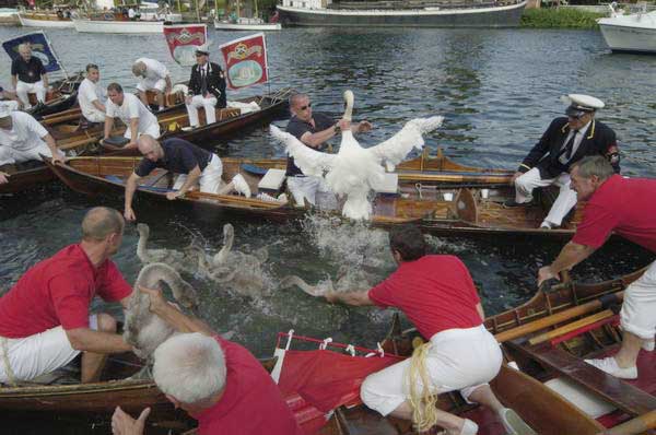 Picture © Peter Marshall, 2004