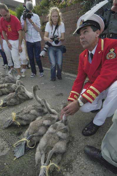 Picture © Peter Marshall, 2004