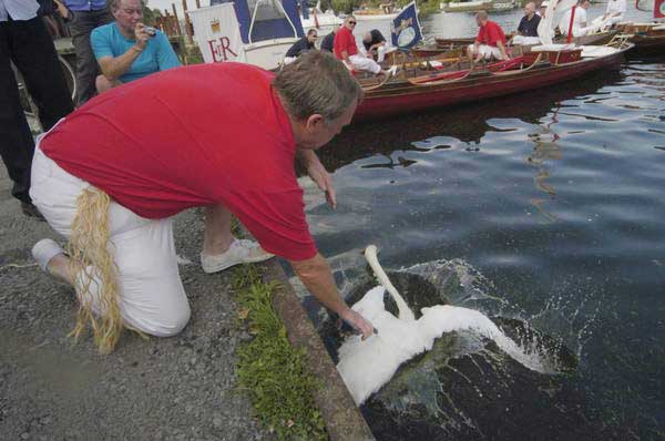 Picture © Peter Marshall, 2004