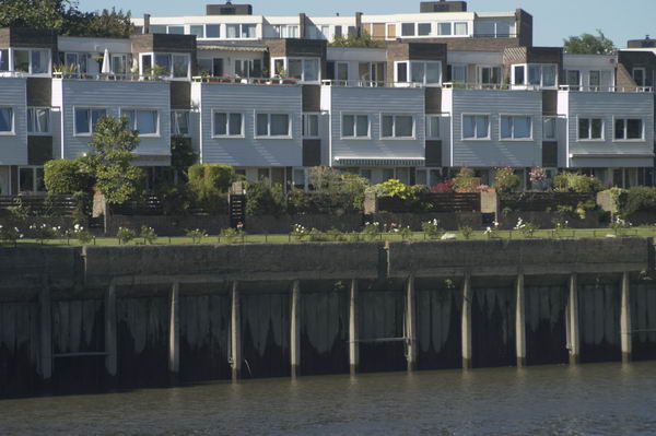 Picture © Peter Marshall, 2004