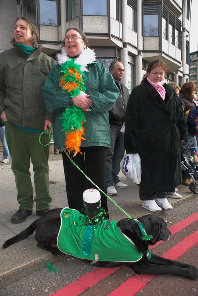 St Patrick's Day Parade, London © 2006, Peter Marshall