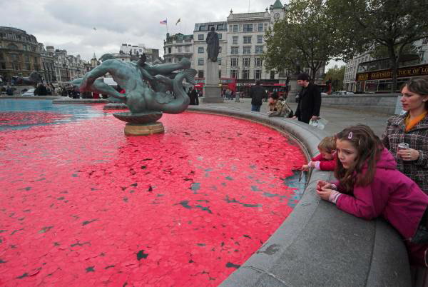 London, Nov 11 © Peter Marshall, 2006