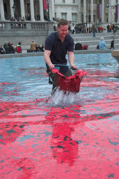Poppies in the Fountains © Peter Marshall, 2006