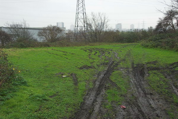 Manor Garden Allotments, Hackney Wick © Peter Marshall, 2007