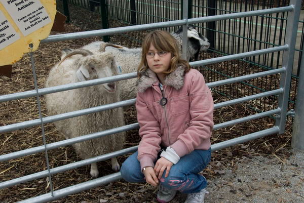 Spitalfields Urban Farm 