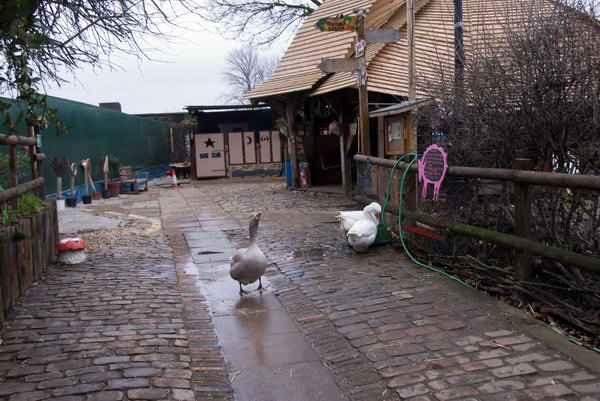 Spitalfields Urban Farm © 2007, Peter Marshall