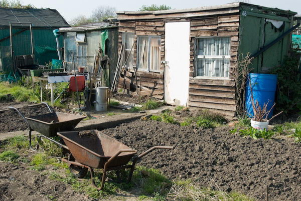 Manor Gardens © 2007, Peter Marshall