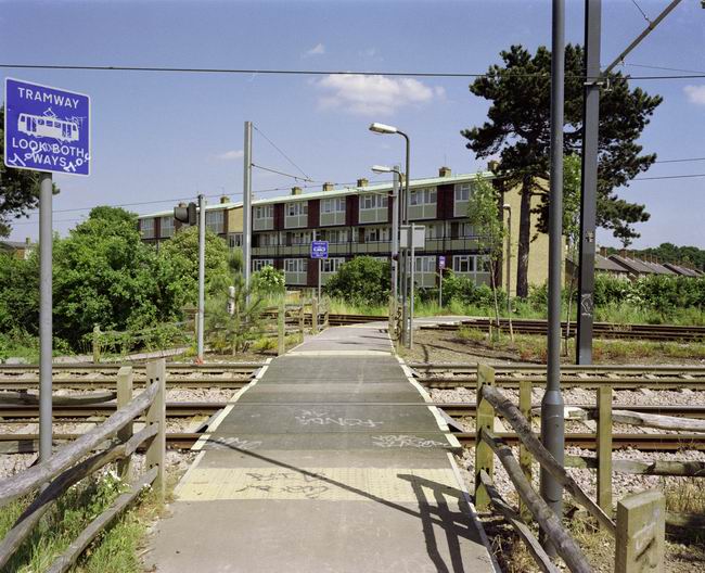 Tramlink - click for next picture